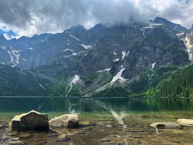如何快速鉴别真假印尼黑油沉香的实用技巧-沉香信息网·臻选
