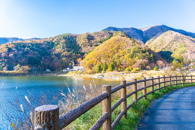 揭秘沉香好坏的鉴别技巧，让你轻松识别真伪-沉香信息网·臻选